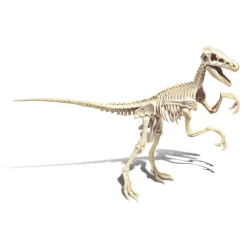 Archéo Ludic Vélociraptor