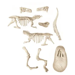 Archéo Ludic Vélociraptor