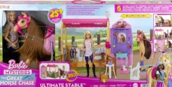 Barbie Ecurie de rêve avec accessoires