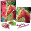 Canevas Diamanter Cheval Art Créations