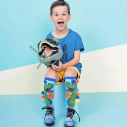 Chaussettes dinosaures