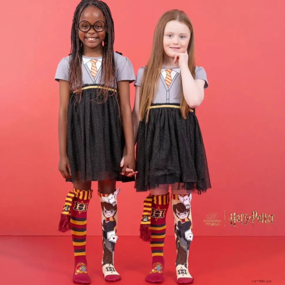 Chaussettes Harry Potter
