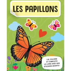 Coffret Mega Arts et crafts les papillons