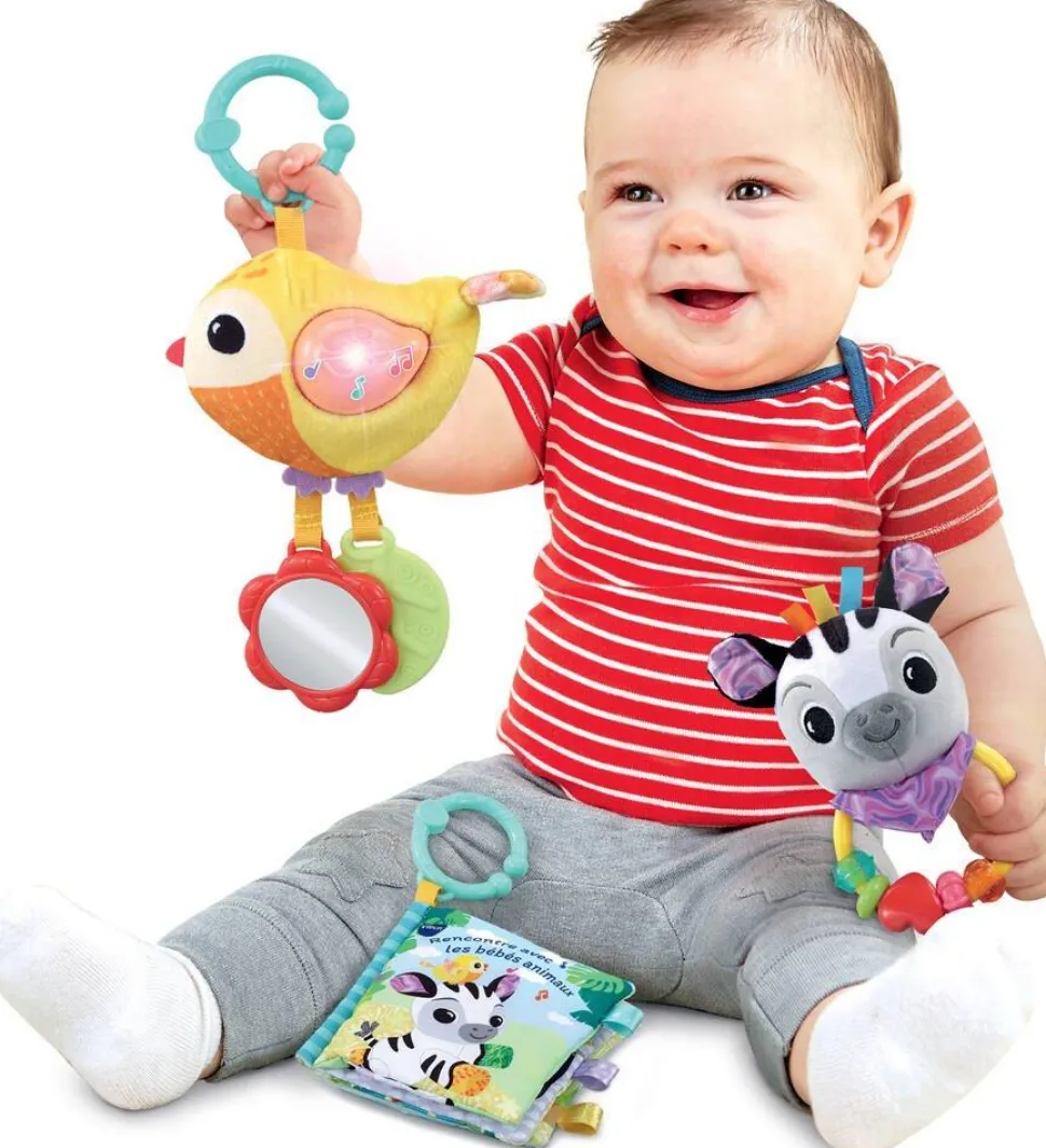 Coffret Naissance, Bébés Animaux Vtech