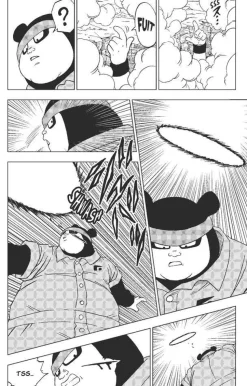 Dragon Ball Super - Manga Tome 13 : Combats divers
