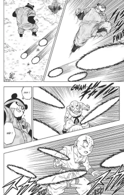 Dragon Ball Super - Manga Tome 13 : Combats divers