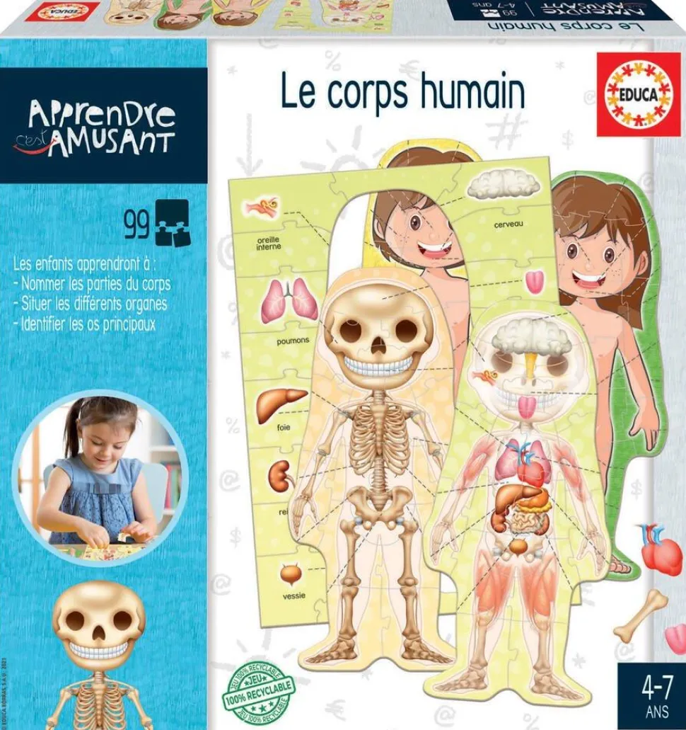 Educa Borras - Le Corps Humain, Jeu Éducatif