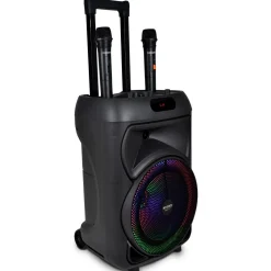 Enceinte 300 watts sans fil