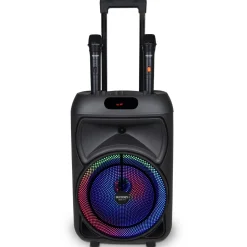 Enceinte 300 watts sans fil