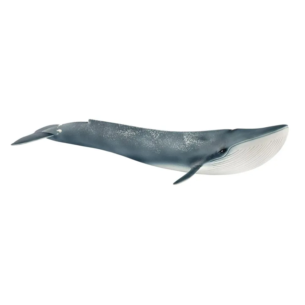 Figurine Baleine Bleue