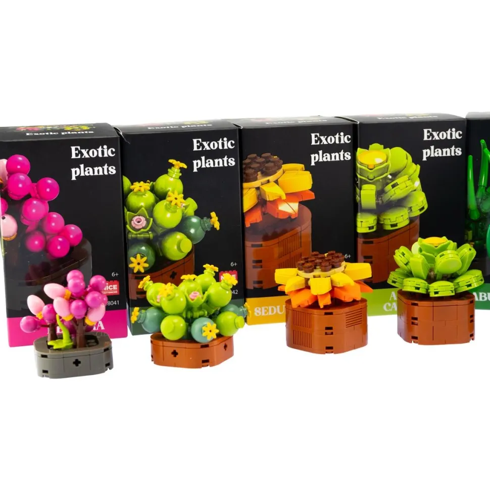Fleurs exotiques à construire