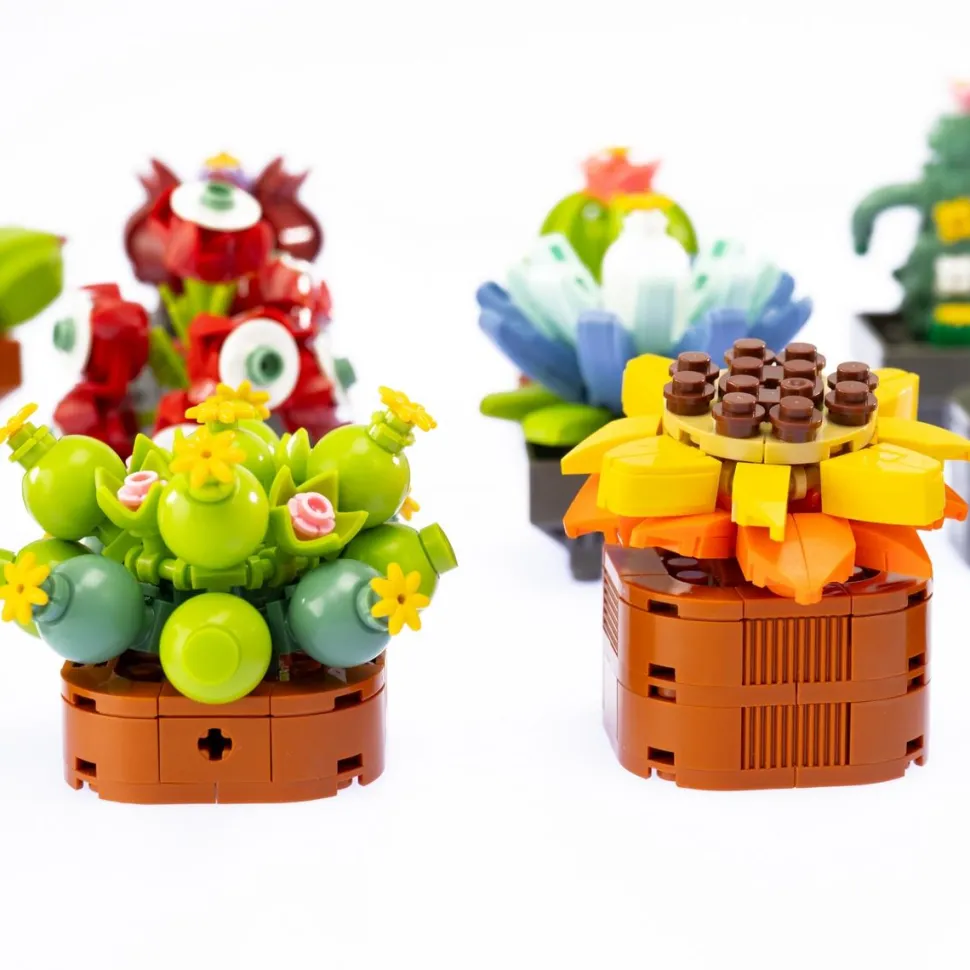 Fleurs exotiques à construire
