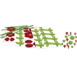 Floral art bouquet de roses