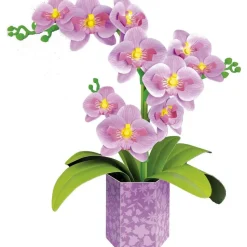 Floral art Orchidée