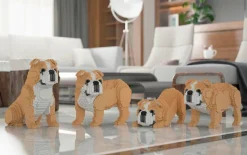 Jecka Blocs De Construction - Chien Bulldog Anglais 4 En 1 Beige Standard