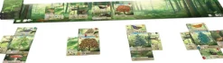 Jeu De Forêt Mixte