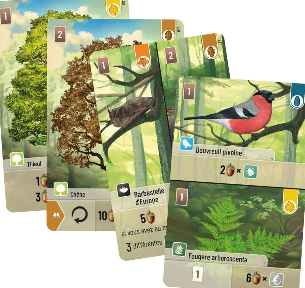 Jeu De Forêt Mixte