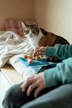 Jeu de reflexion Smart Games - Chats Tournent En Rond