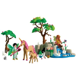 Journée avec les fées Playmobil 72067