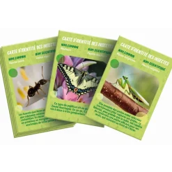 La maison des insectes