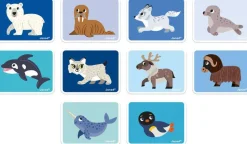 Magntibook Animaux polaires