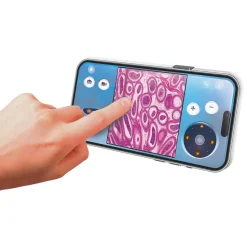 Microscope digital WIFI