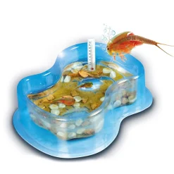 Mini Triops