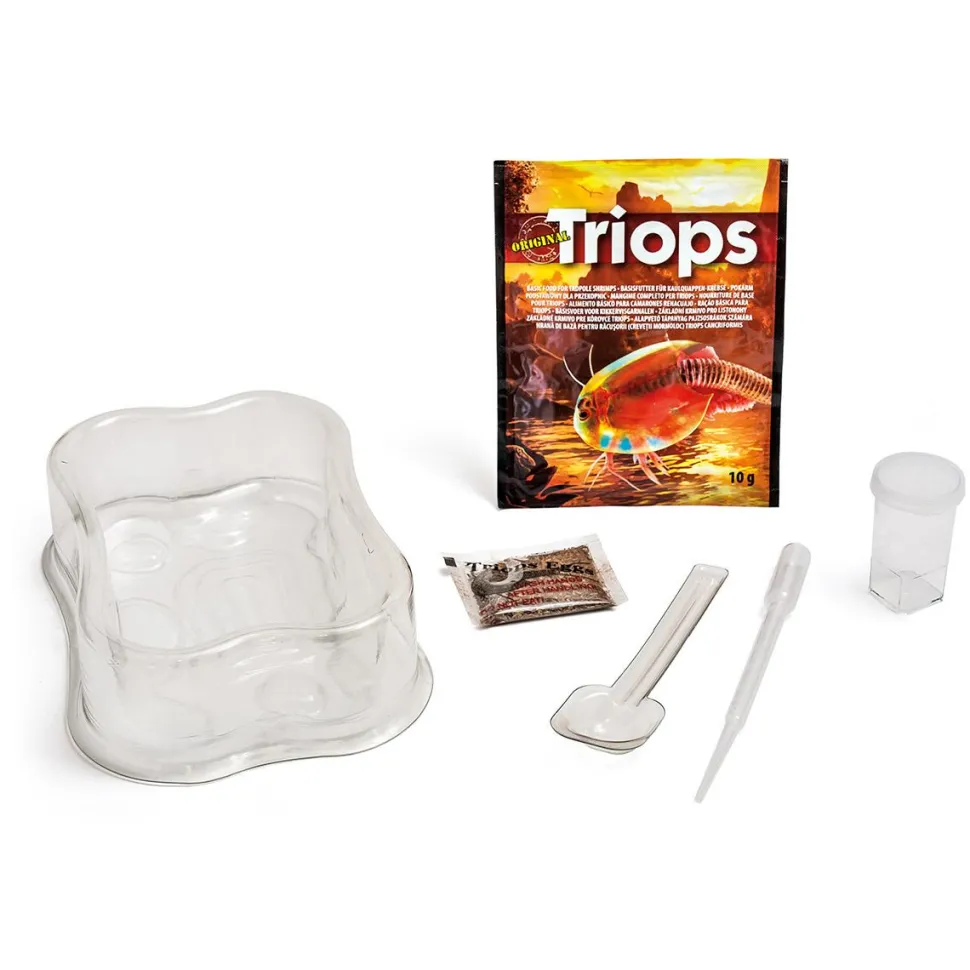 Mini Triops