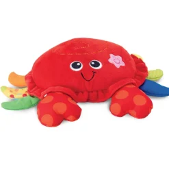 Mon crabe se balade