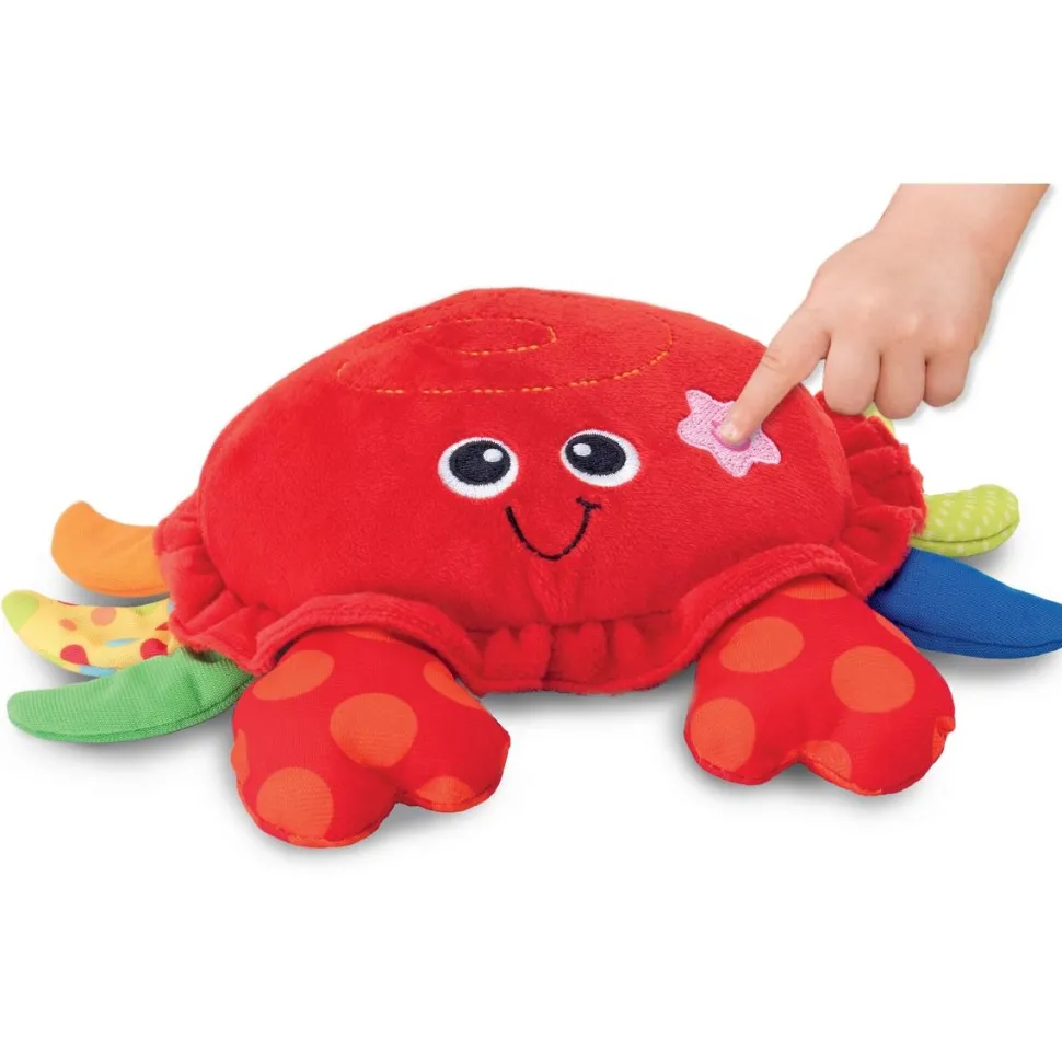 Mon crabe se balade