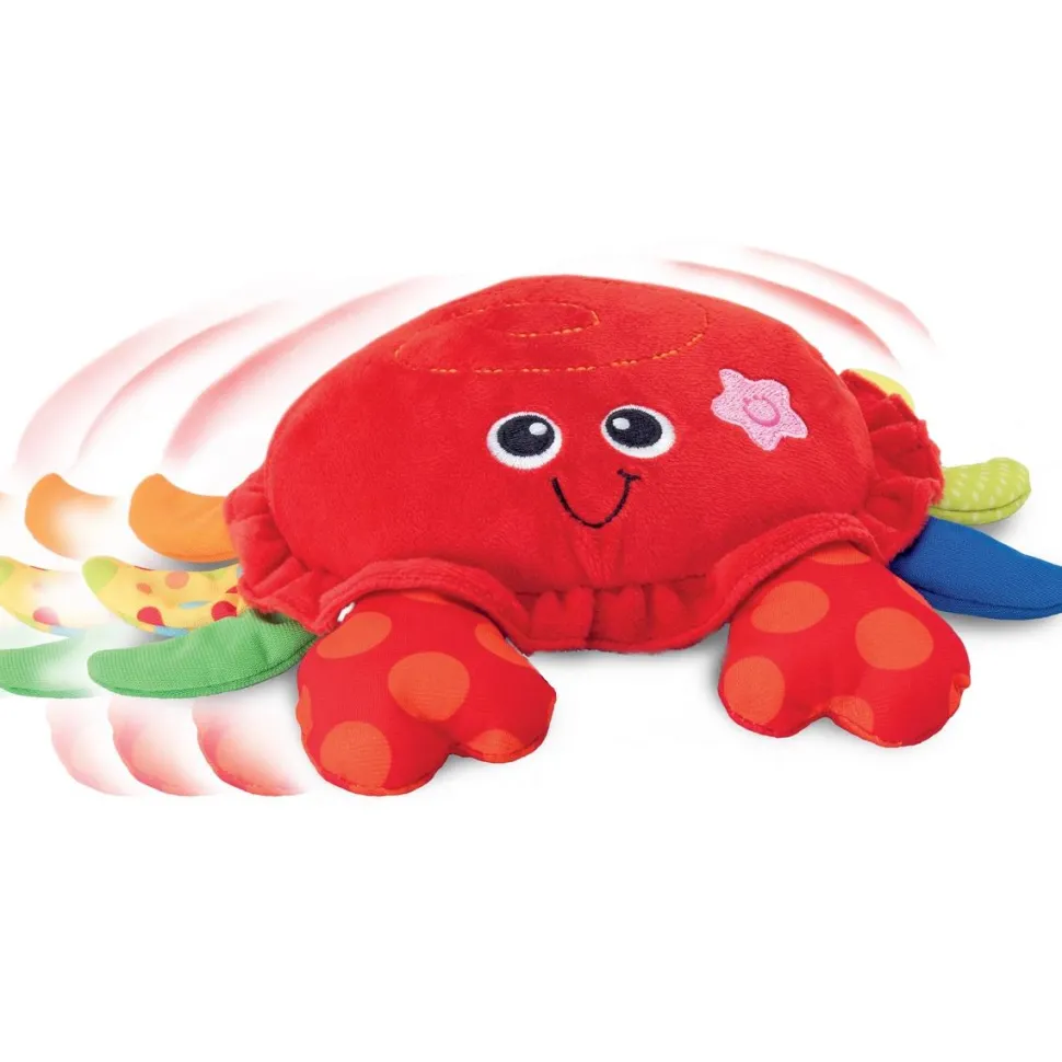 Mon crabe se balade