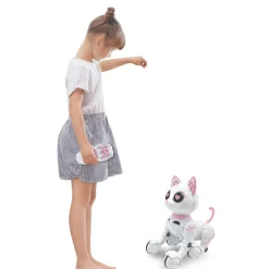 Power Kitty Mon chat robot savant