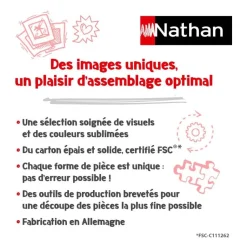 Puzzle 1000 pièces Les albums d'Astérix - Collection Mes héros Nathan