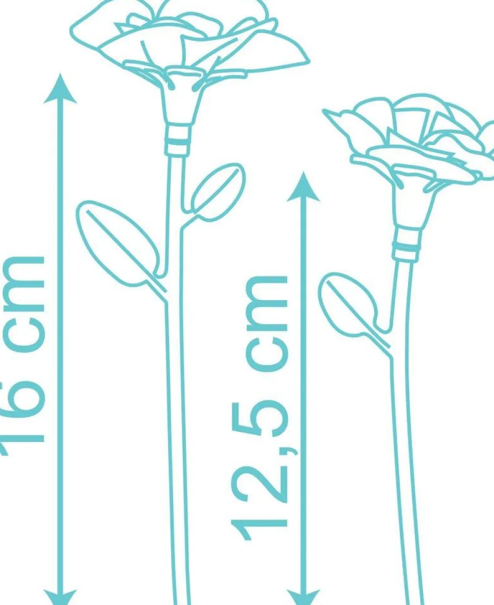 Set De Fleurs Smoby