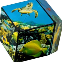 Shashibo Ocean - Casse Tête 3d