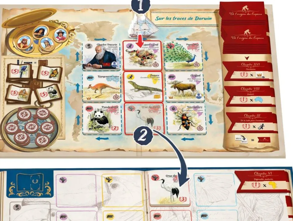 Sur les traces de Darwin