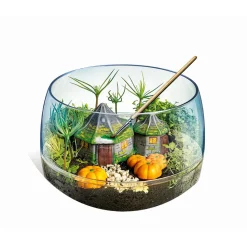 Terrarium Harry Potter